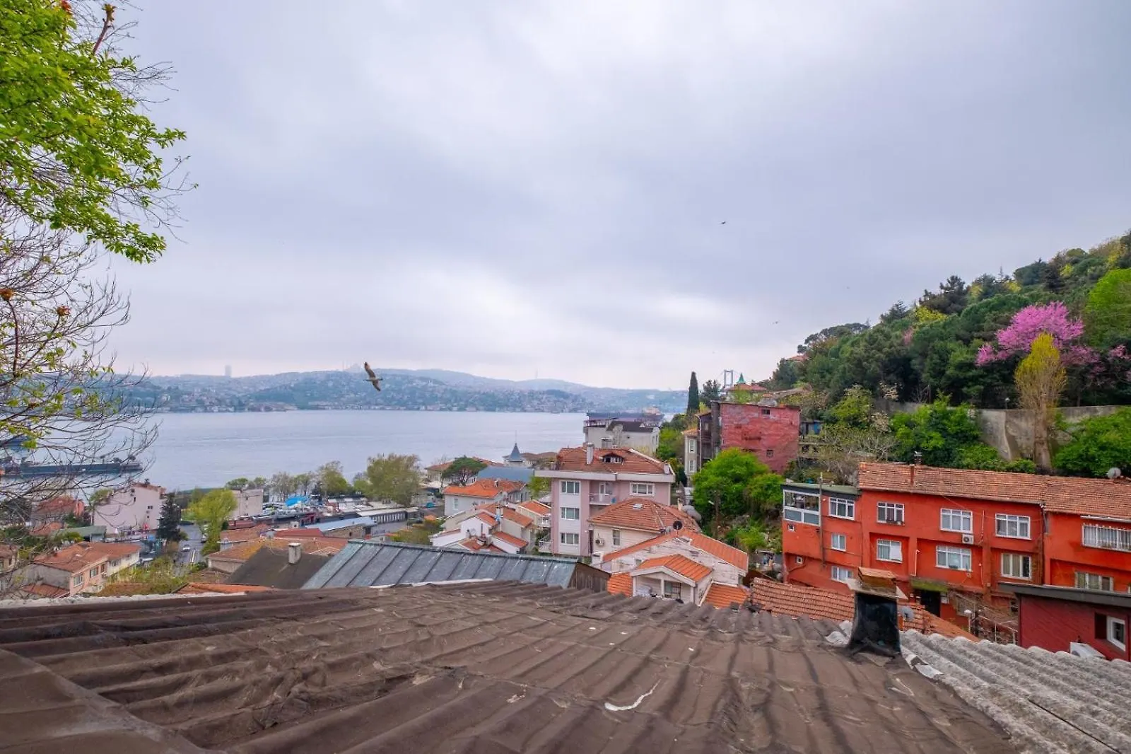 Cinarli Hotel Istanbul